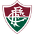 Fluminense RJ U20 (N)
