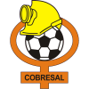 TRANG CHỦ 65 Cobresal
