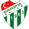Trang chủ 118 Bursaspor